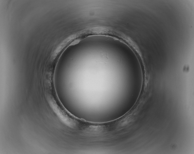 X0000111930057200907271323