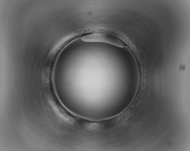 X0000111930058200907271323