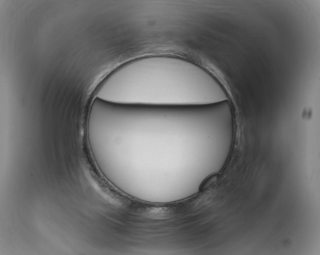X0000111930059200907271323