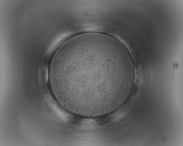 X0000111930061200907271323