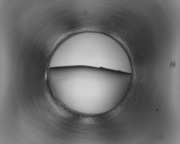 X0000111930062200907271323