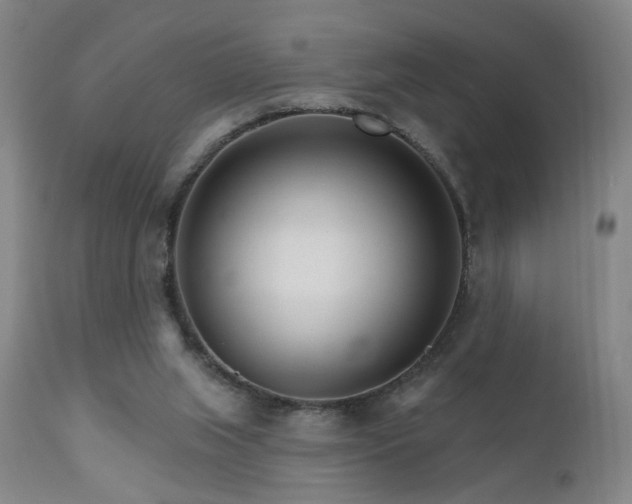 X0000111930063200907271323