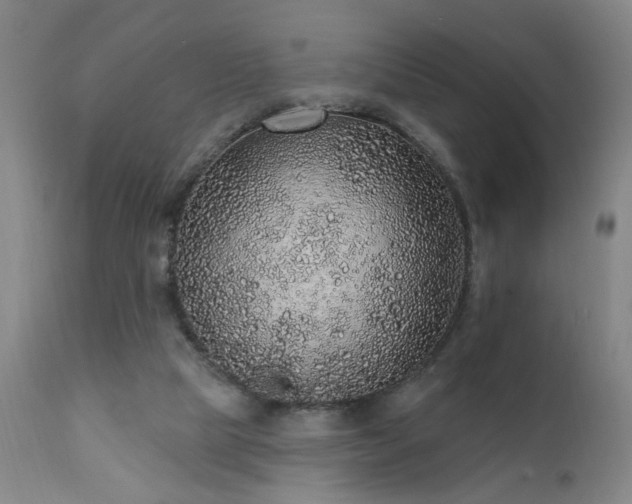 X0000111930065200907271323
