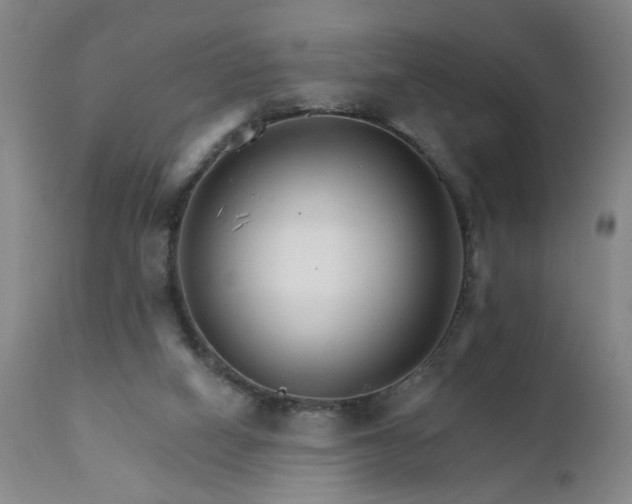 X0000111930066200907271323