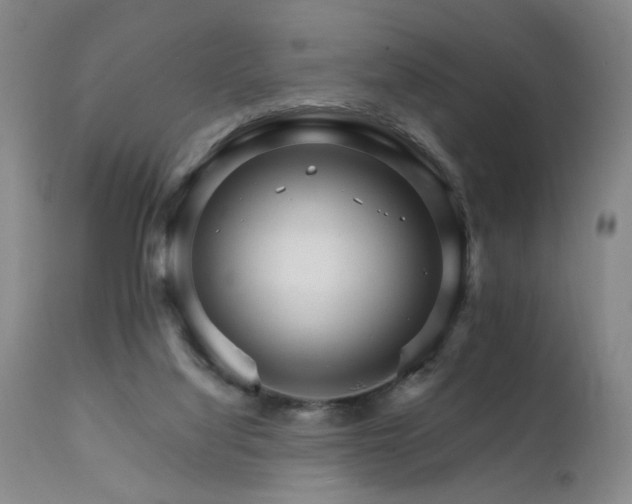 X0000111930068200907271323