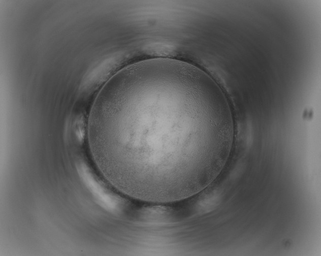 X0000111930069200907271323