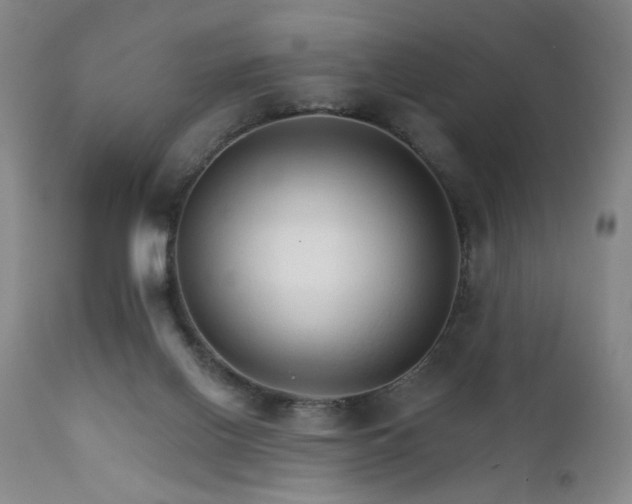 X0000111930070200907271323
