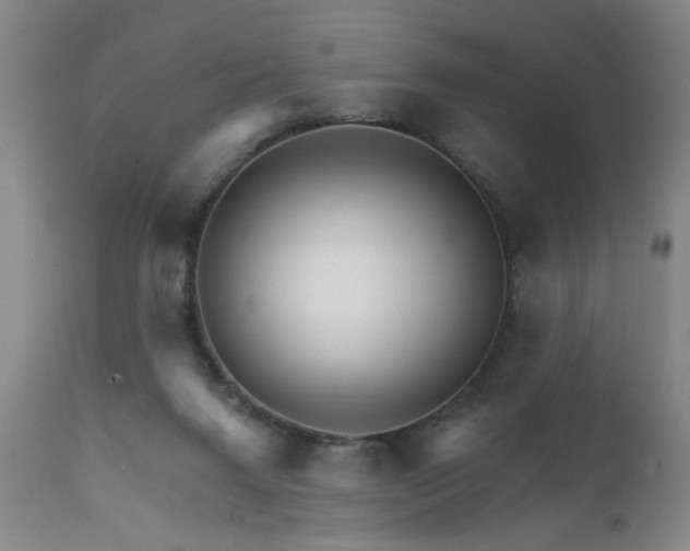 X0000111930072200907271323