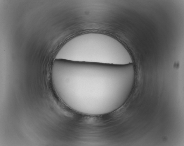 X0000111930074200907271324