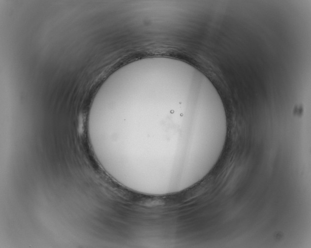 X0000111930075200907271324
