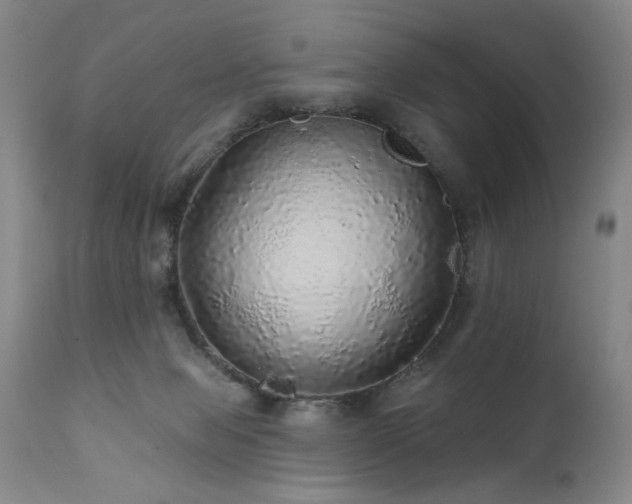 X0000111930077200907271324