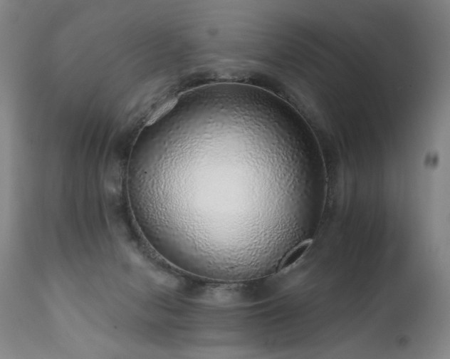 X0000111930078200907271324