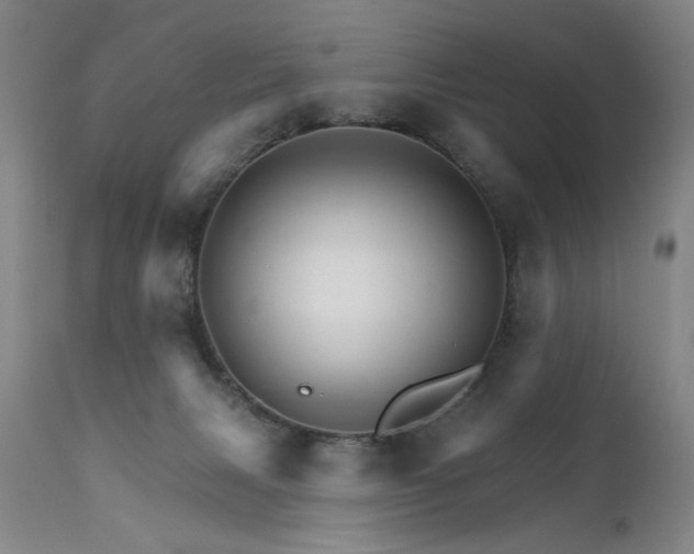 X0000111930079200907271324