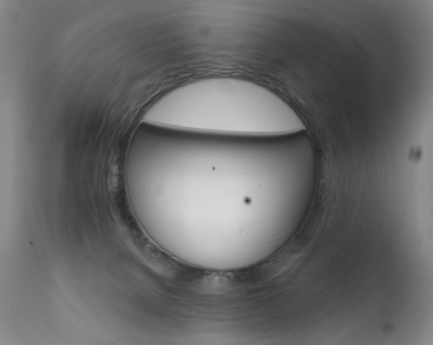 X0000111930080200907271324