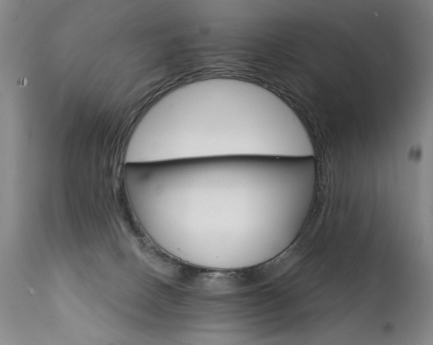 X0000111930082200907271324
