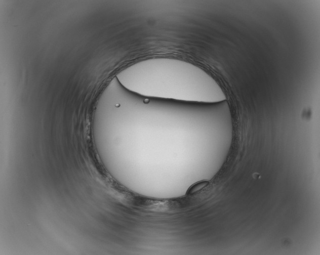 X0000111930083200907271324