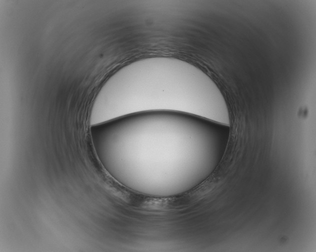 X0000111930084200907271324