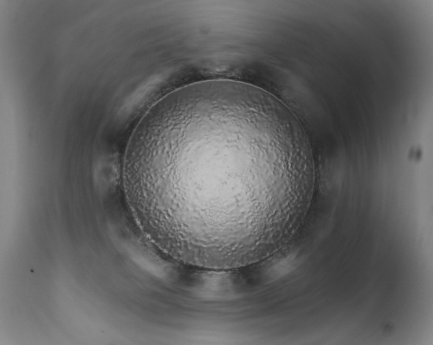 X0000111930085200907271324