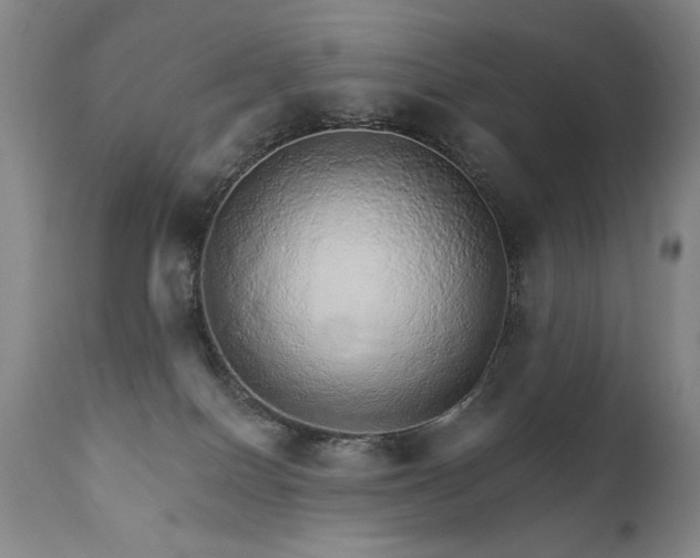 X0000111930086200907271324