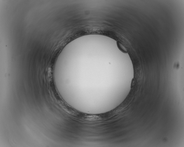 X0000111930087200907271324
