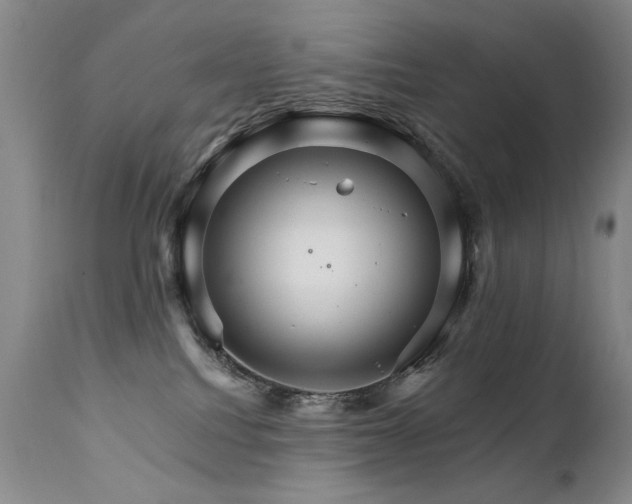 X0000111930088200907271324