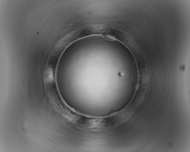 X0000111930089200907271324