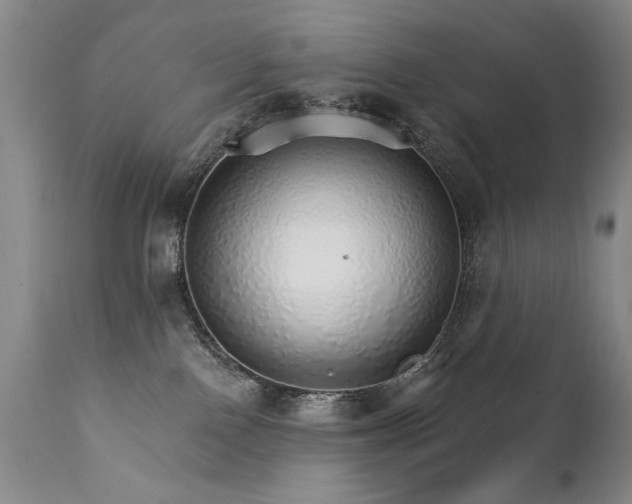X0000111930090200907271324