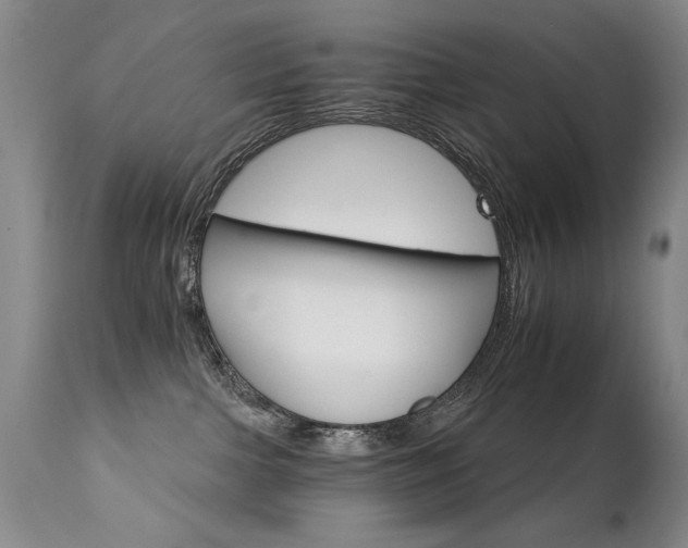 X0000111930091200907271324