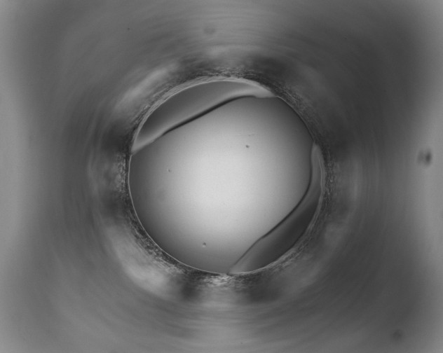 X0000111930092200907271324