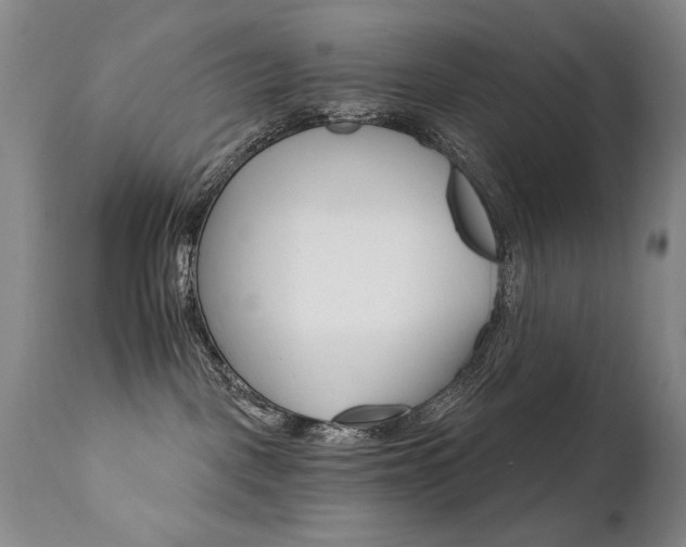 X0000111930093200907271324