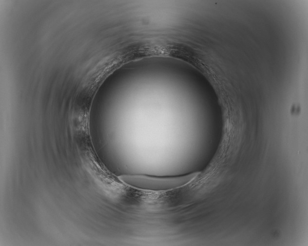 X0000111930096200907271324