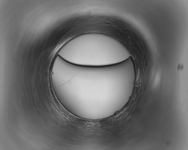 X0000111930099200907271323
