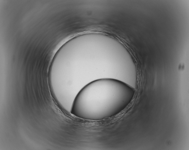 X0000111930100200907271323