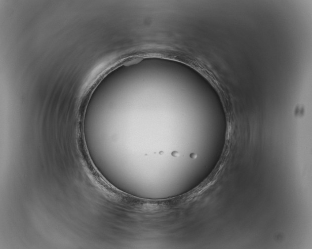 X0000111930101200907271323