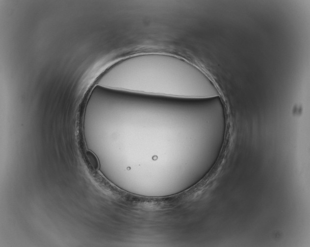 X0000111930103200907271323