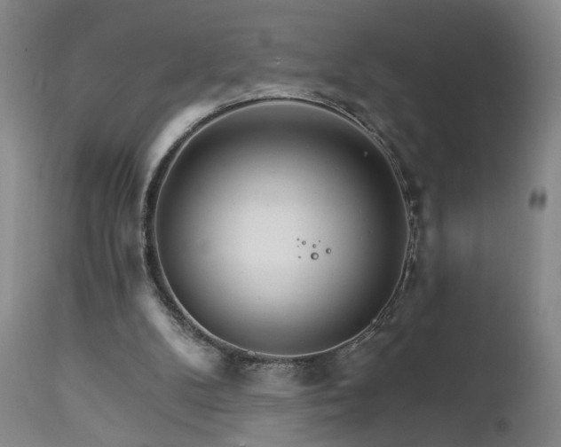 X0000111930104200907271323