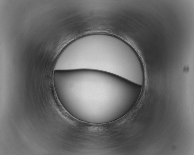 X0000111930105200907271323