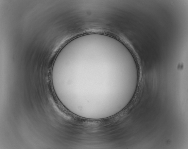 X0000111930106200907271323
