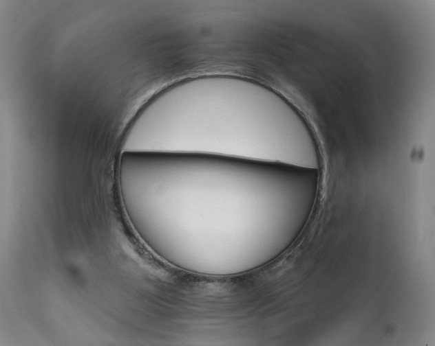 X0000111930107200907271323