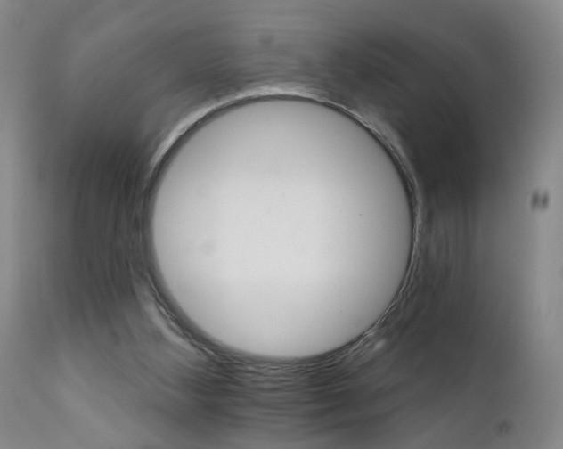 X0000111930108200907271323