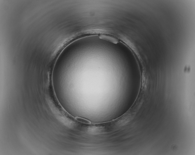 X0000111930109200907271323