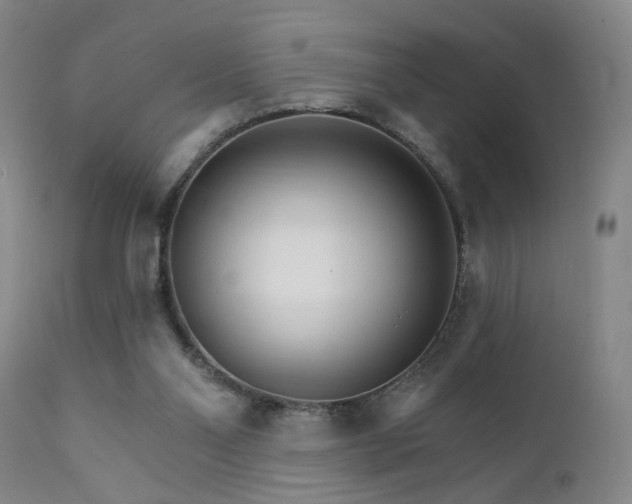 X0000111930110200907271323