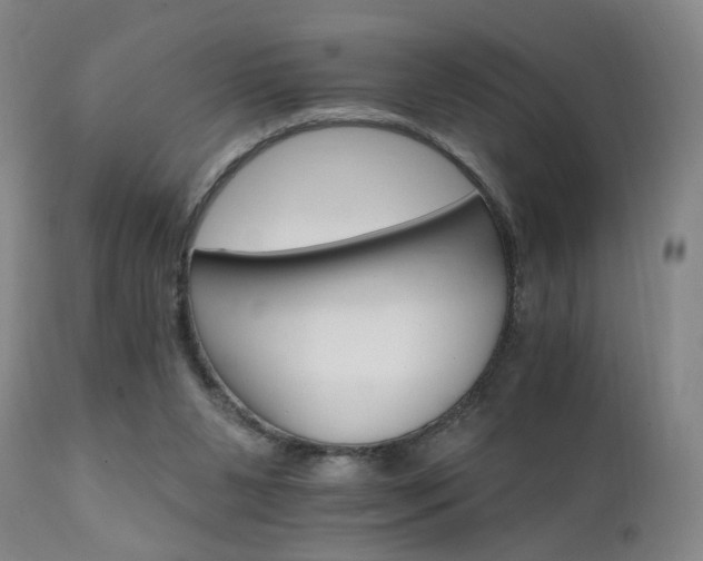 X0000111930111200907271323