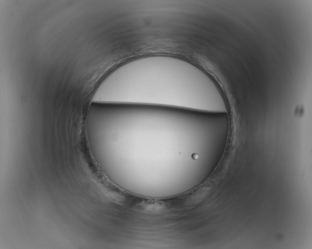X0000111930113200907271323