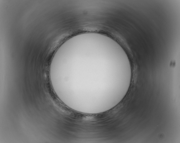 X0000111930114200907271323