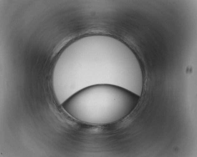 X0000111930116200907271323