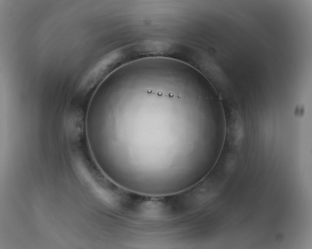 X0000111930119200907271323