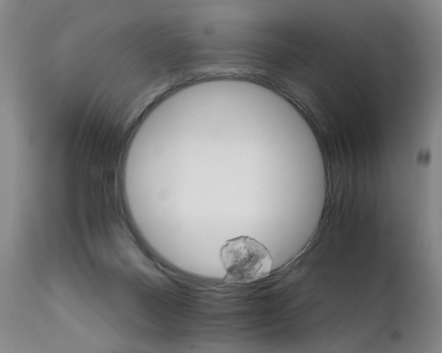 X0000111930120200907271323