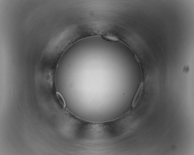 X0000111930121200907271323