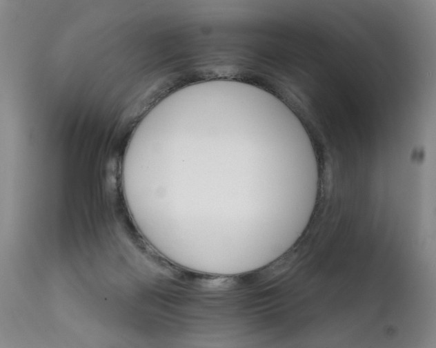 X0000111930122200907271323